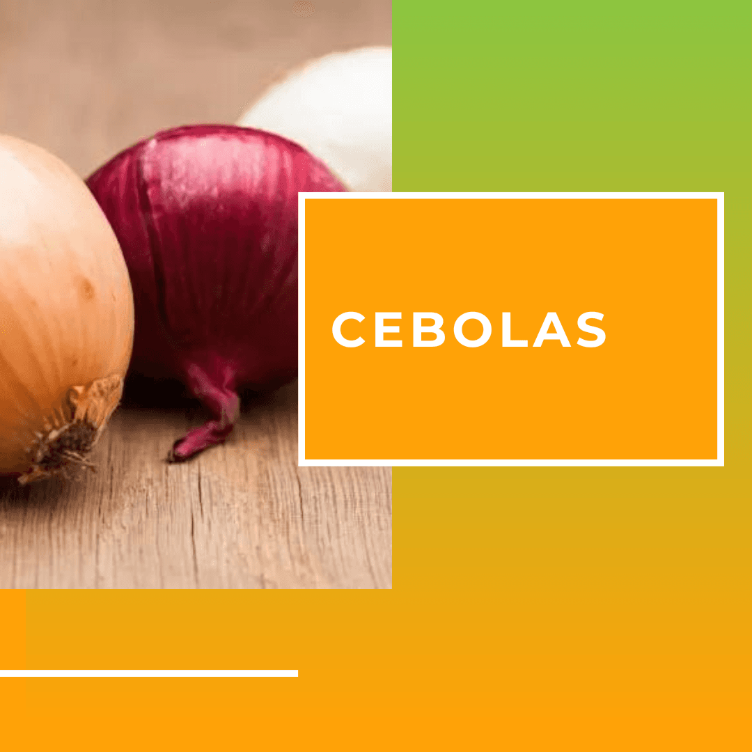 Cebolas