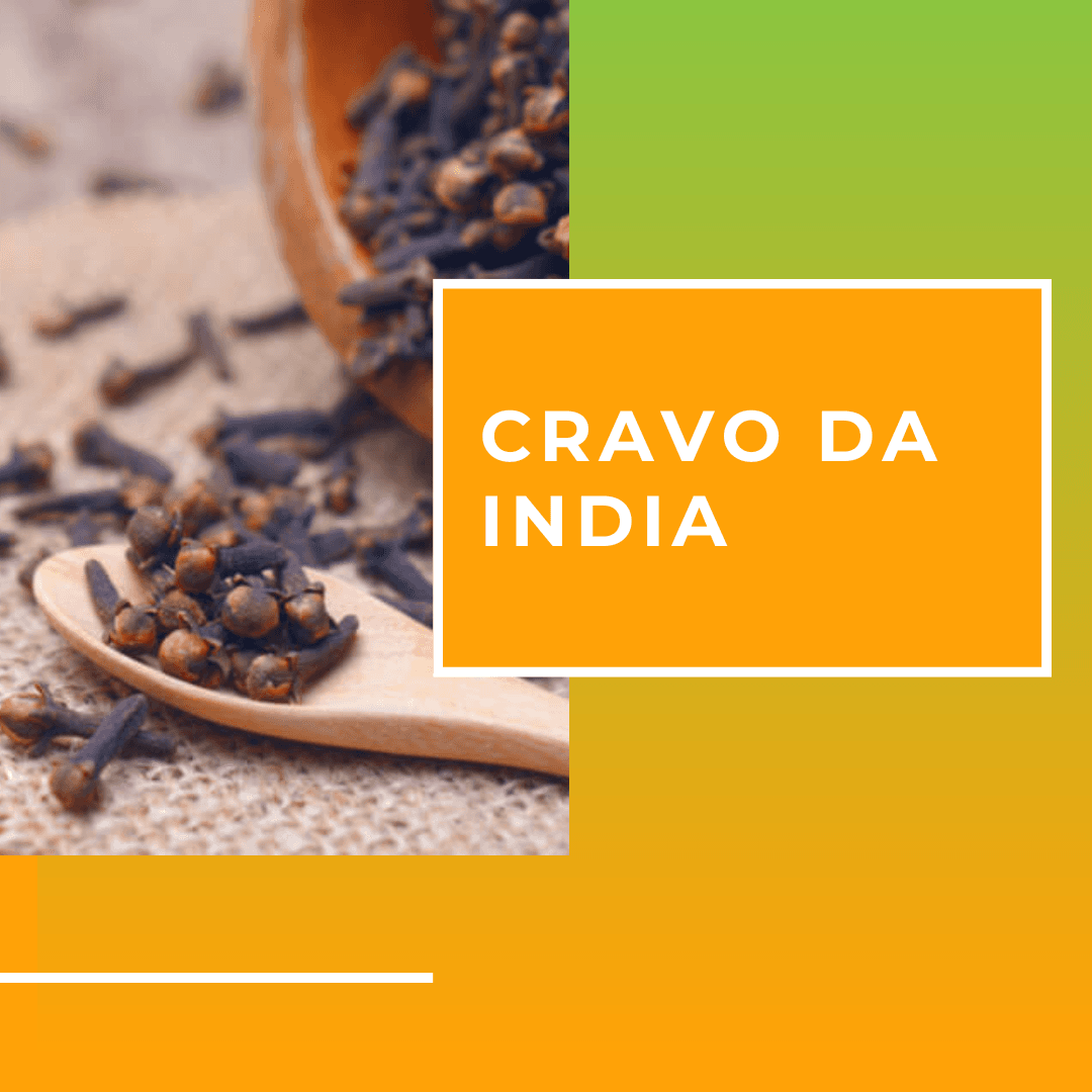Cravo da índia