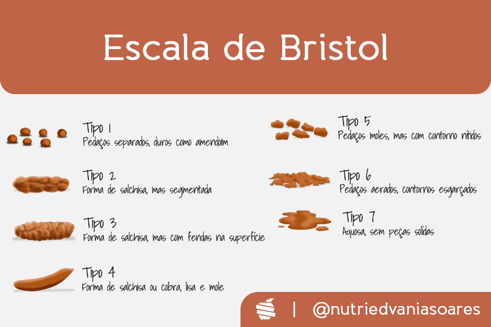 Escala de Bristol